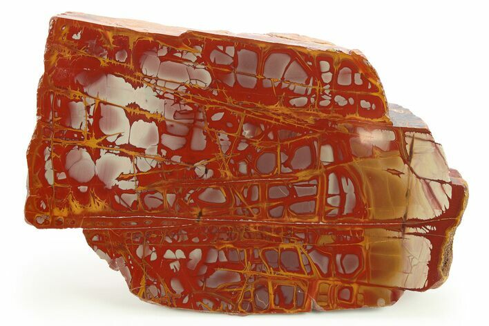 Polished Noreena Jasper Section - Australia #280166